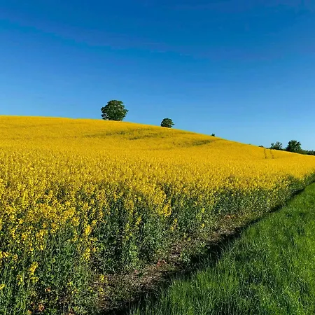 Summer House Among Fields Near Mons Klint 別荘